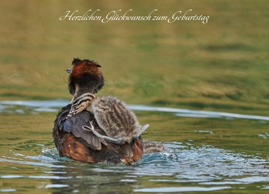Karte Nr.0440