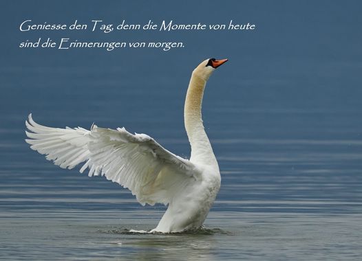 Karte Nr.9657