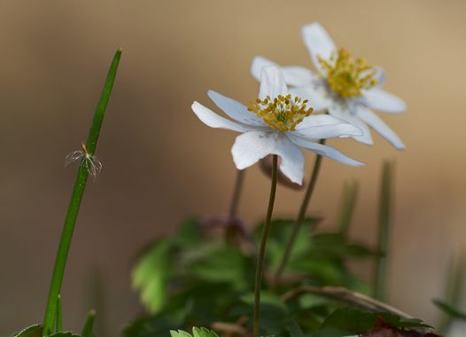 Karte Nr.9922