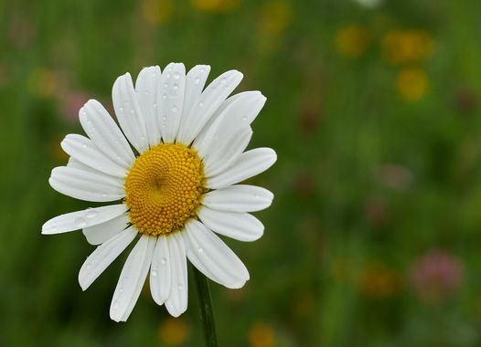 Karte Nr.9992