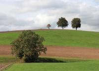 Berner Oberland Uetendorfberg