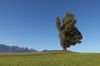 Berner Oberland Uttigen