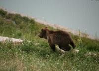Tierpark