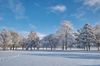 Baum Winter