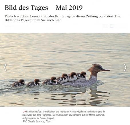 Bild des Tages Berner Zeitung 11.Mai 2019