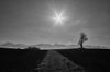 Black and White Monochrom