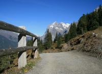 Brandegg Kleine Scheidegg