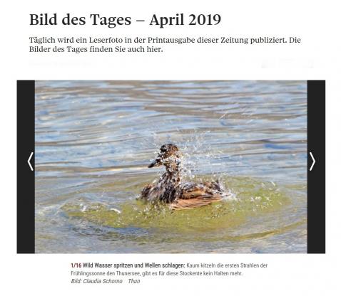 Bild des Tages Berner Zeitung April 2019