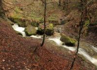Cholerenschlucht