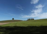 Berner Oberland Uetendorfberg