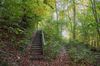 Wald