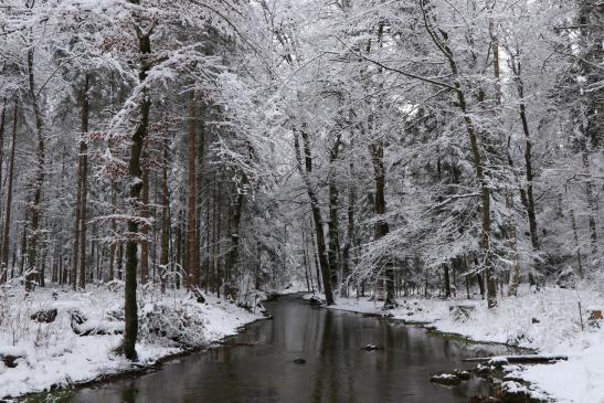 Glütschbach 17.Dezember 2017