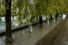 HochwasserThun
