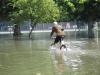 Hochwasser Thun