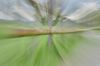 ICM - Fotografie