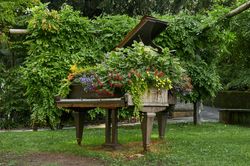 Blumen Kreativ