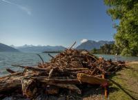 Hochwasser Thun