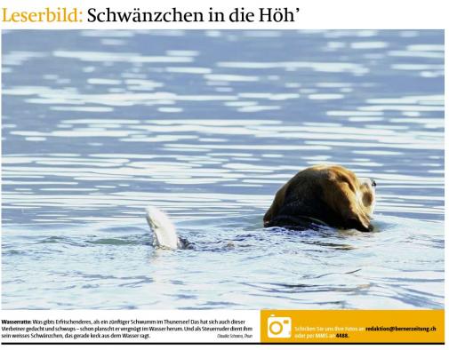 Leserbild TT und BZ 18.Juli 2015