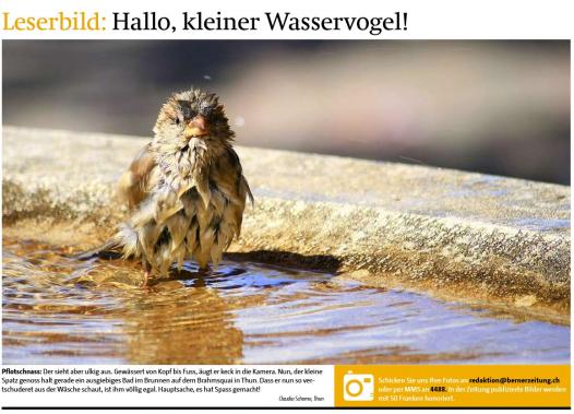 Leserbild BZ 16. Mai 2015 