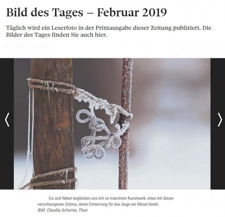 Bild des Tages Berner Zeitung Februar 2019