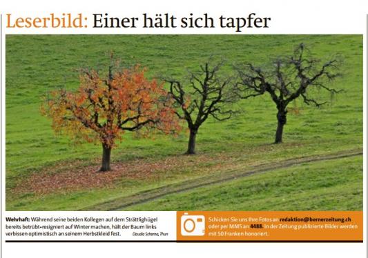 Leserbild Berner Zeitung und Thuner Tagblatt 25.November 2016