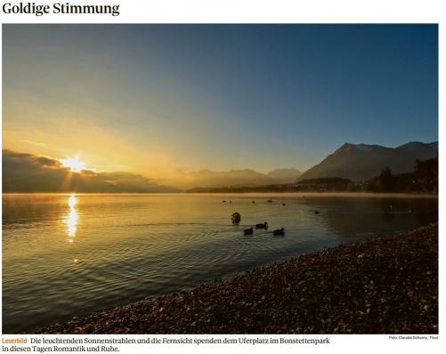 Leserbild Thuner Tagblatt und Berner Zeitung 11.Oktober 2021