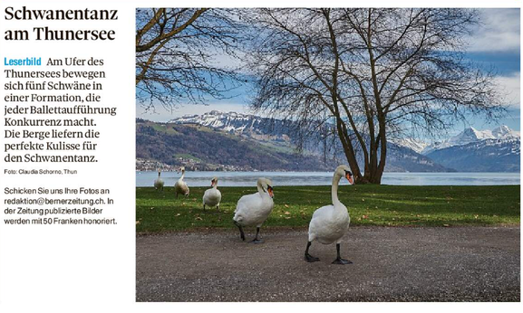 Leserbild Thuner Tagblatt und Berner Zeitung 18. März 2026