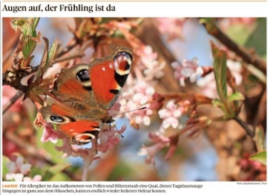 Leserbild Thuner Tagblatt und Berner Zeitung 24.März 2022