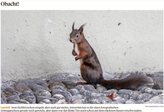 Leserbild Thuner Tagblatt 9. Juni 2021