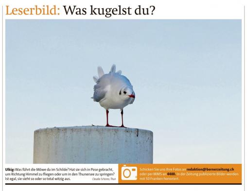 Leserbild Berner Zeitung und Thuner Tagblatt 24.November 2017