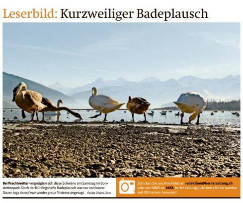 Leserbild TT und BZ 8.Februar 2016
