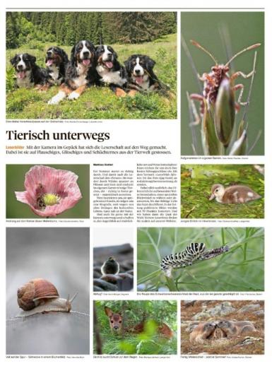 Leserbild Thuner Tagblatt 27.Juni 2020