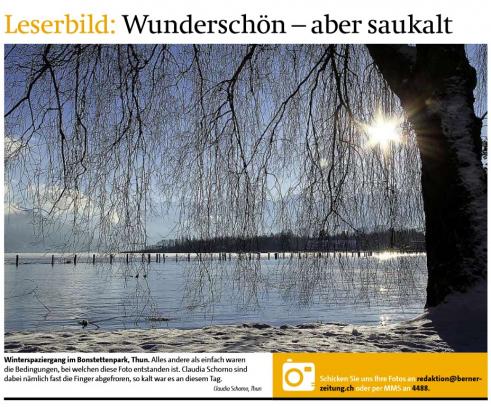Leserbild Berner Zeitung und Thuner Tagblatt 14. Dezember 2012