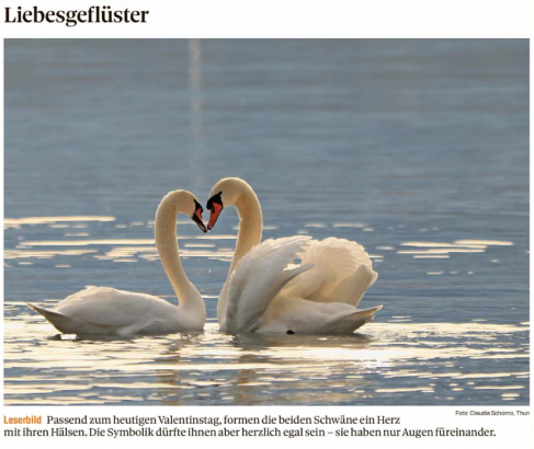 Leserbild Thuner Tagblatt und Berner Zeitung 14.Februar 2020