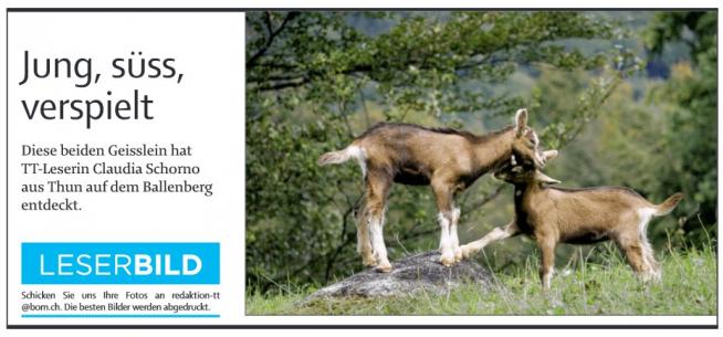 Leserbild TT und BZ 16. September 2010