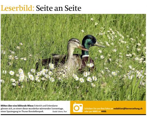 Leserbild TT und BZ 17. Juni2013