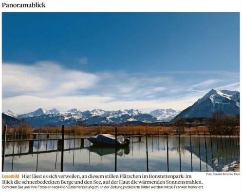 Leserbild Berner Zeitung und Thuner Tagblatt 18.März 2019