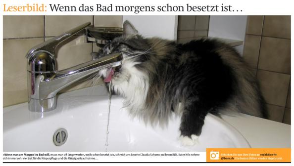 Leserbild Berner Zeitung und Thuner Tagblatt 18. März 2011