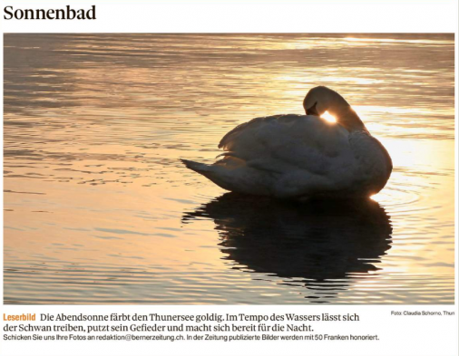Leserbild Thuner Tagblatt und Berner Zeitung 19.November 2019
