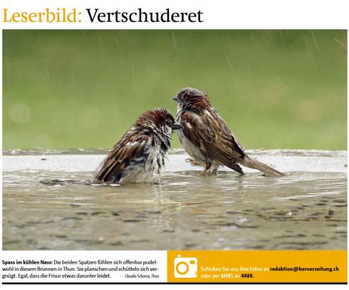 Leserbild TT und BZ 19. September2013