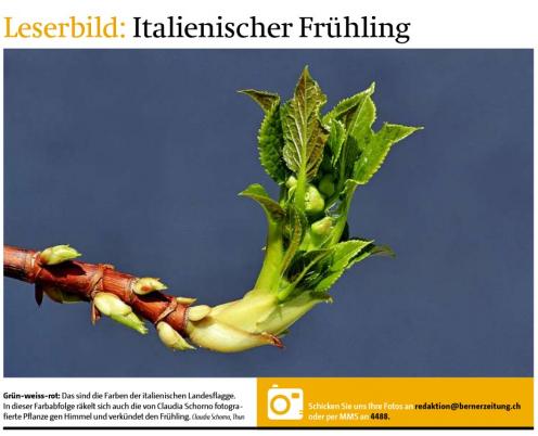 Leserbild Berner Zeitung und Thuner Tagblatt 1 April 2014