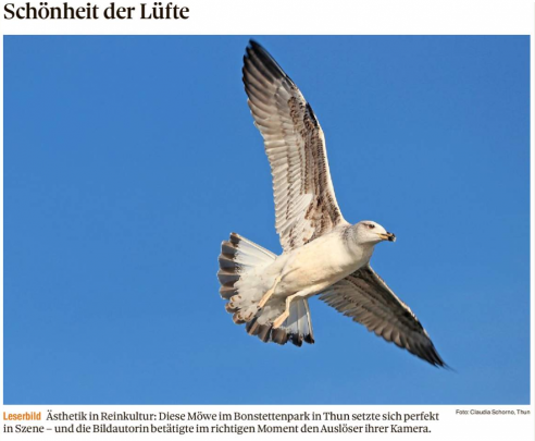 Leserbild Thuner Tagblatt und Berner Zeitung 20.Januar 2020