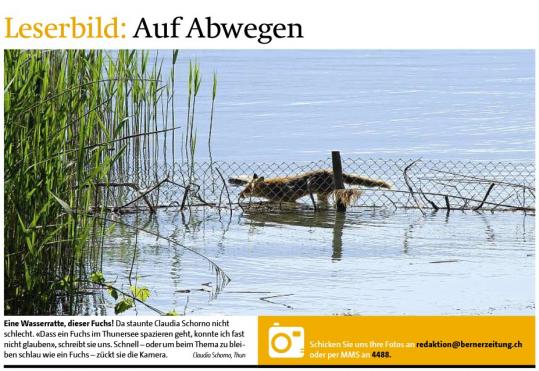 Leserbild Berner Zeitung und Thuner Tagblatt 20. Juni 2013