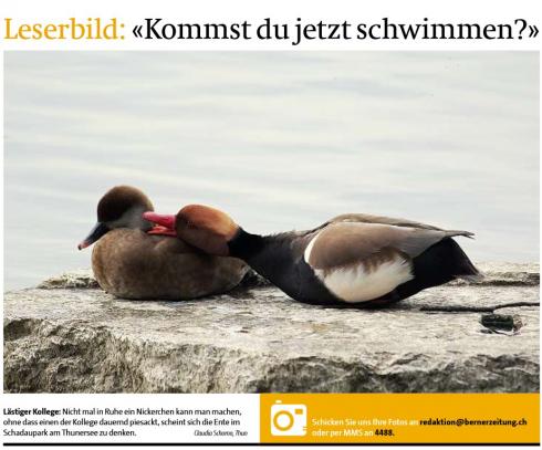 Leserbild TT und BZ 21. April 2015