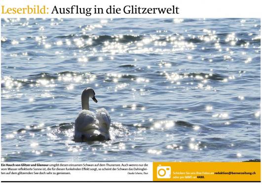 Leserbild Berner Zeitung und Thuner Tagblatt 21.März 2015