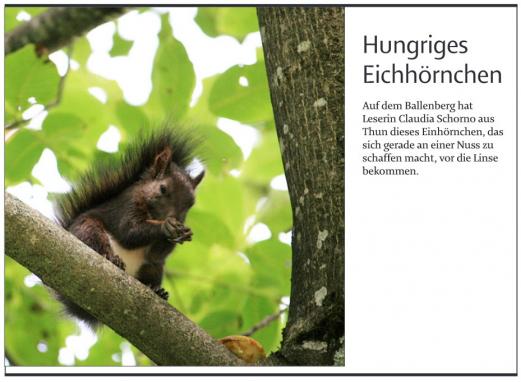 Leserbild TT und BZ 22.September 2010