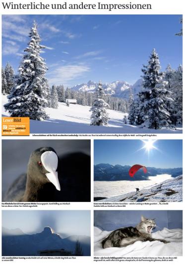 Leserbild TT und BZ  28. Januar 2011