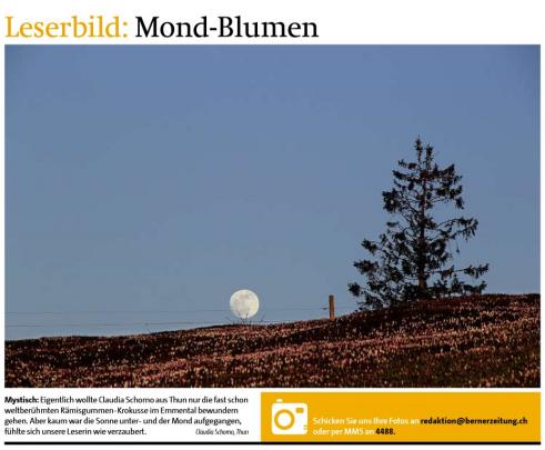 Leserbild TT und BZ 29. April 2013