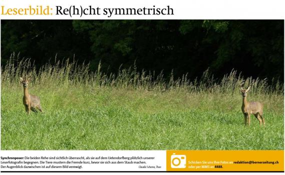 Leserbild TT und BZ 2. Juni 2015