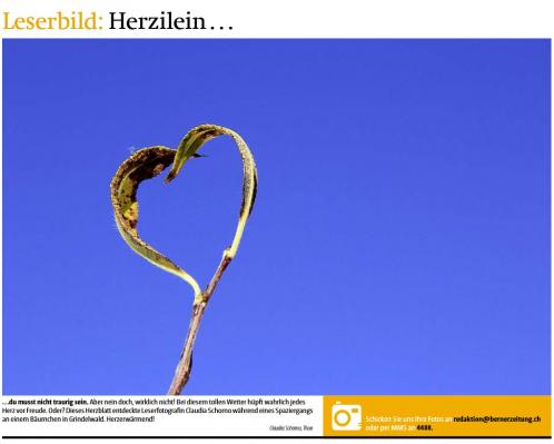 Leserbild TT und BZ 31.Oktober 2014